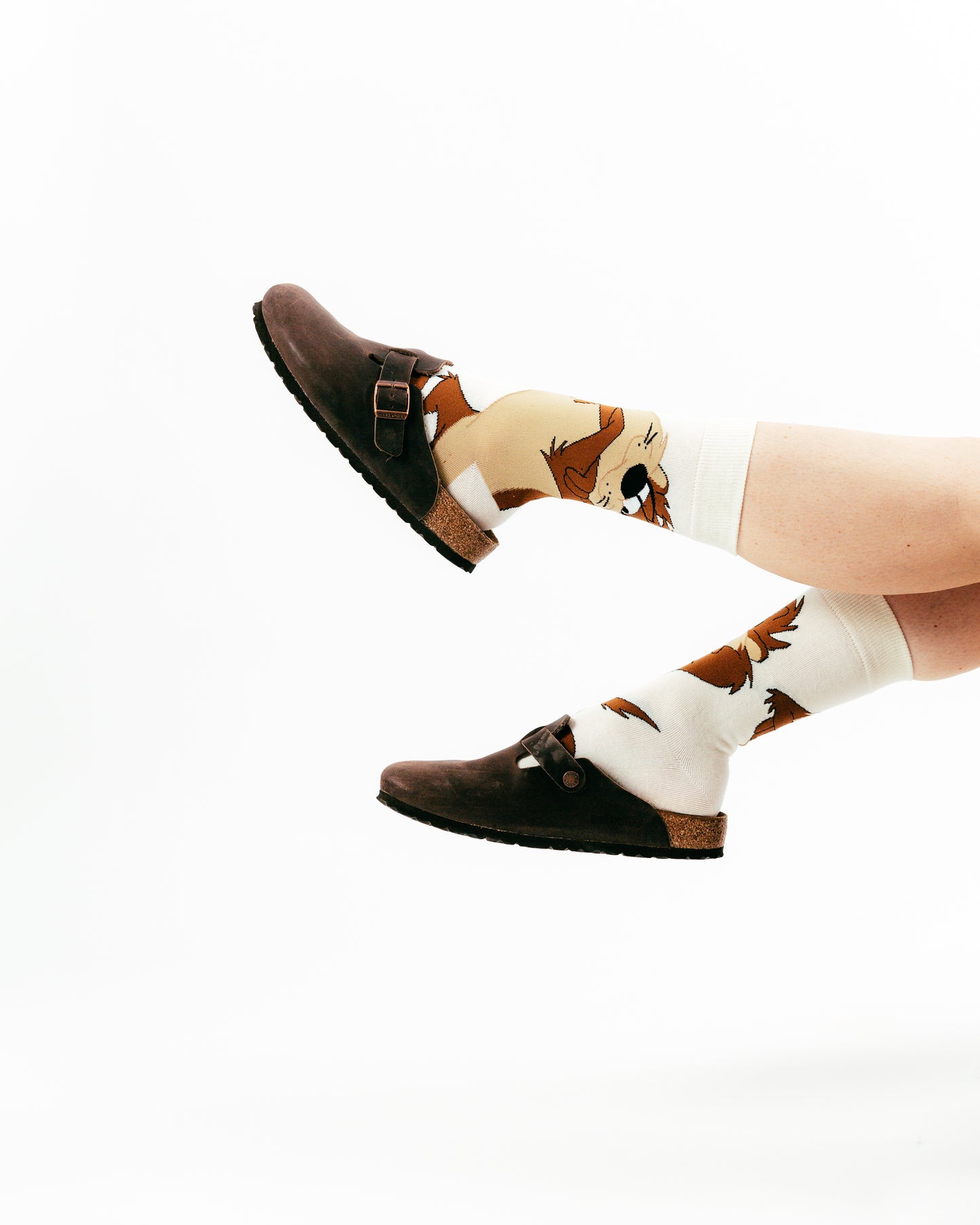 Taz Large Image-Looney Tunes Collection- Socks