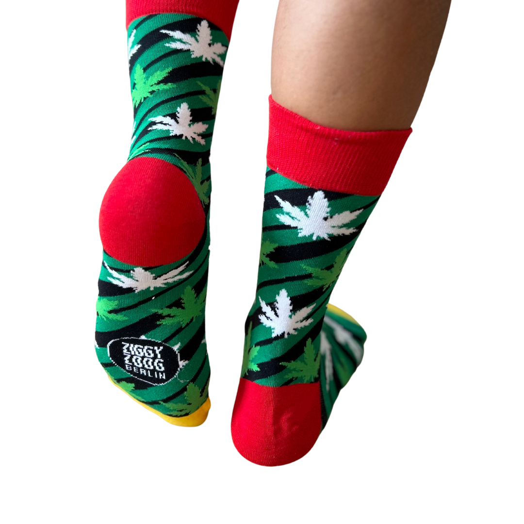 Medical Leaves