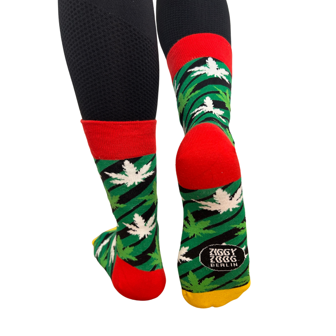 Medical Leaves