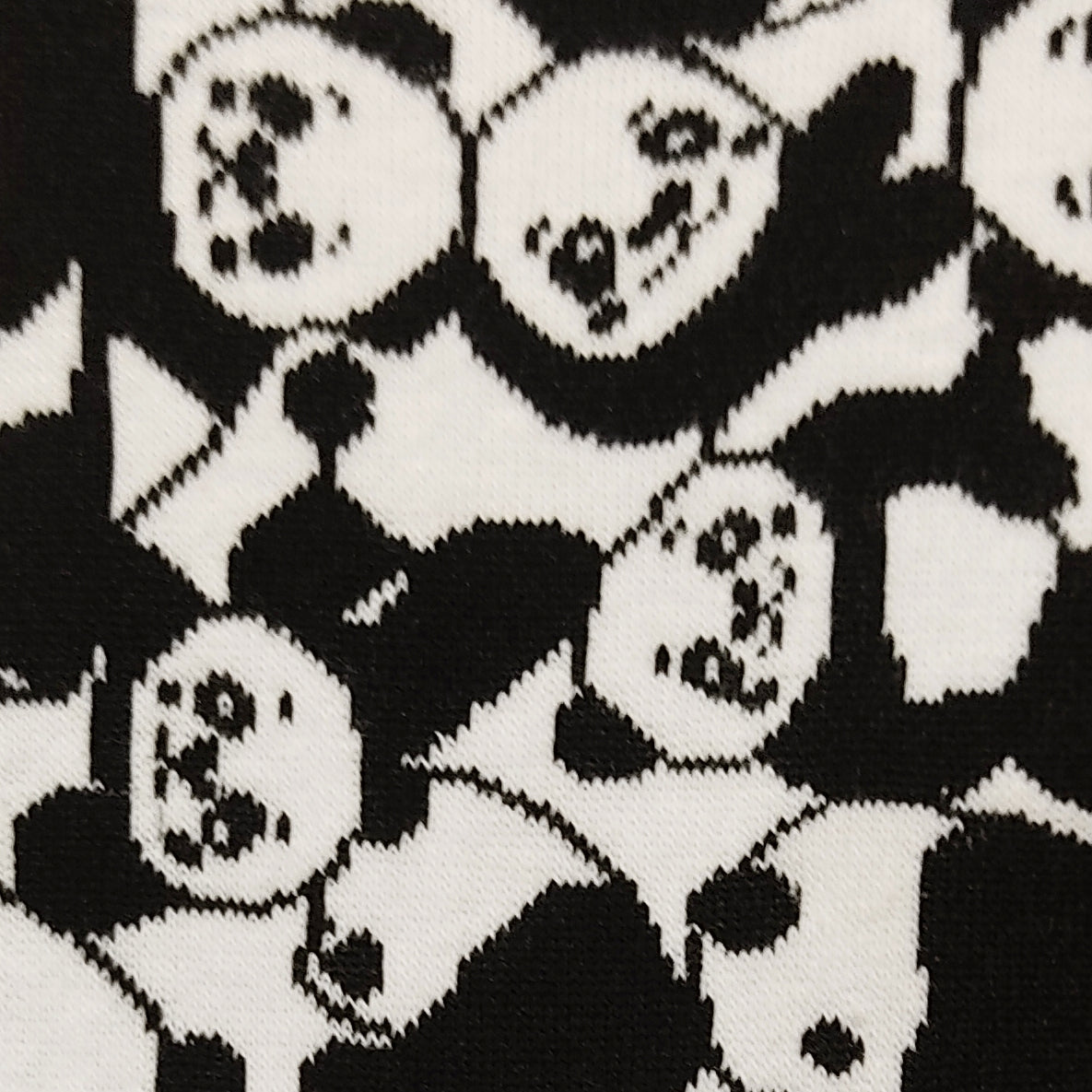 Panda Bear